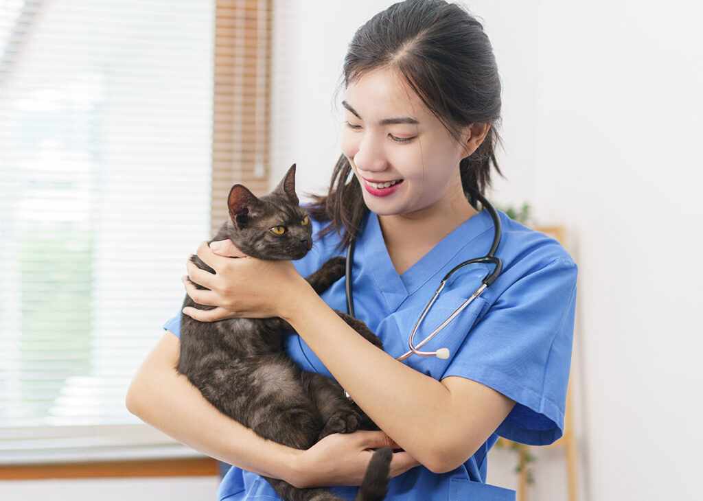 veterinária cuidando de um gato
